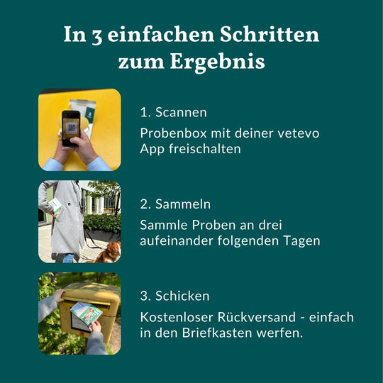 Wurmtest Basic Pferd Sparpaket