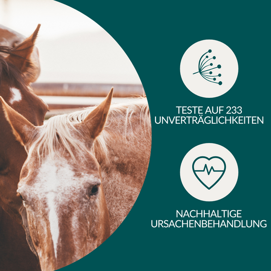 Allergietest Pro Pferd