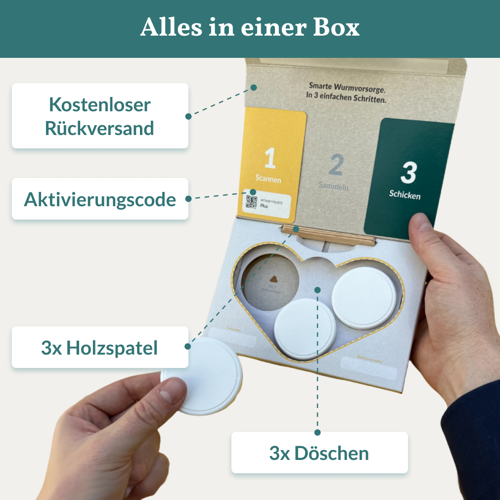 Wurmtest Basic Pferd
