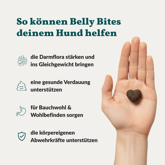 Belly Bites 2.0