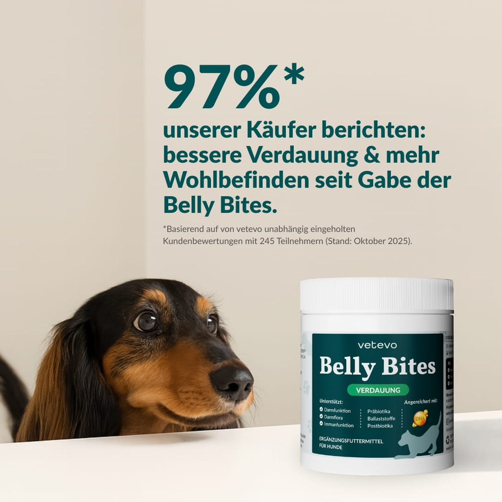 Belly Bites 2.0