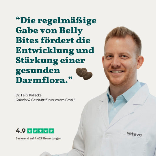 Belly Bites 2.0