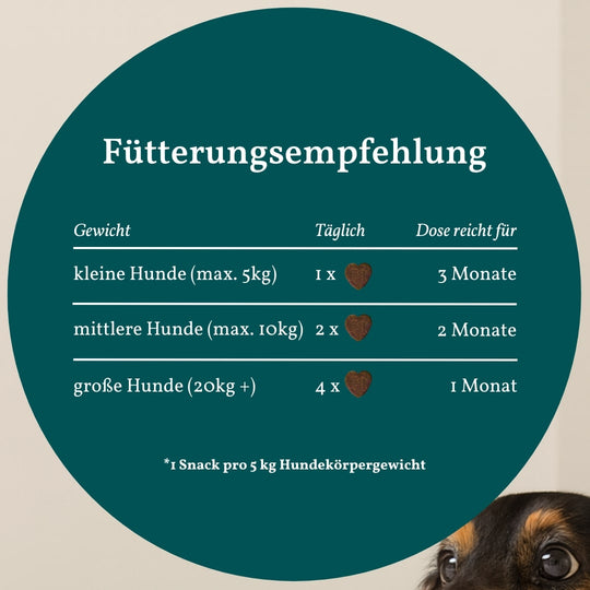 Belly Bites 2.0