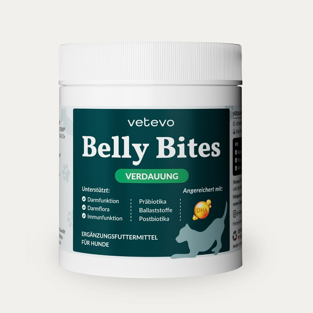 Belly Bites 2.0