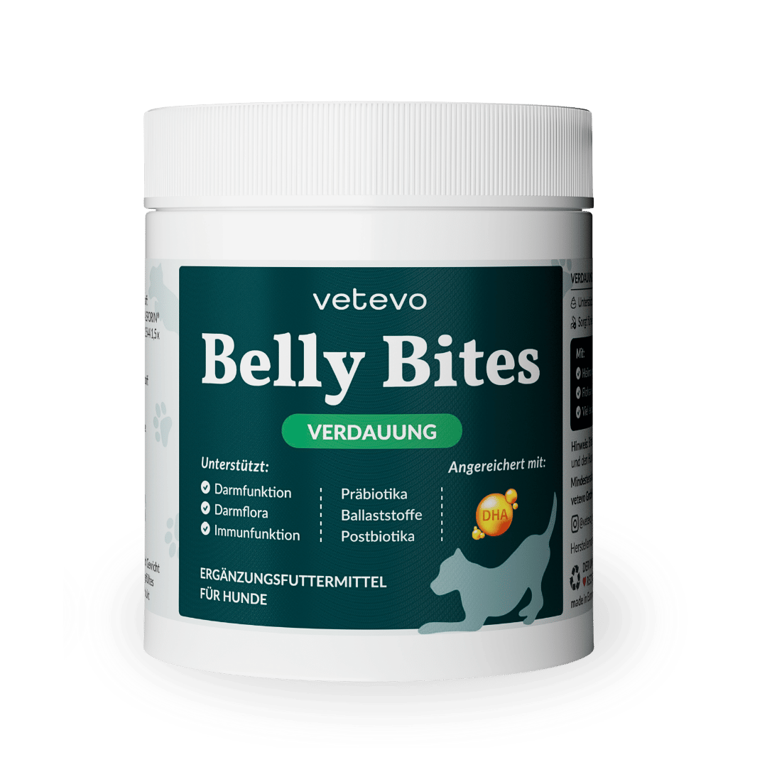 Belly Bites 2.0