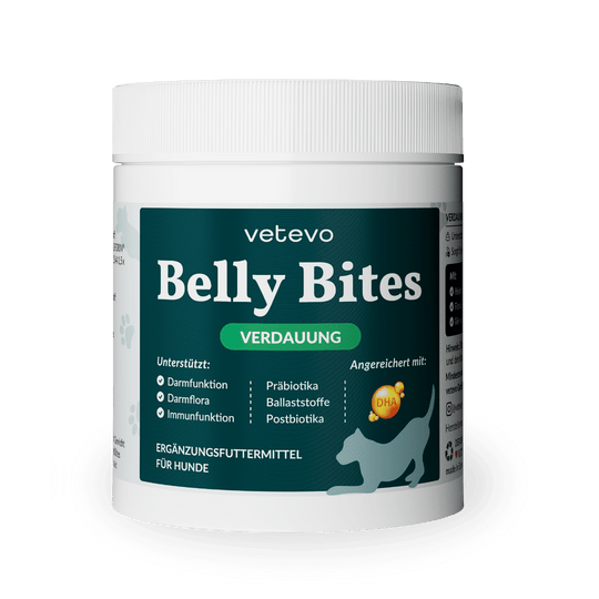 Belly Bites 2.0
