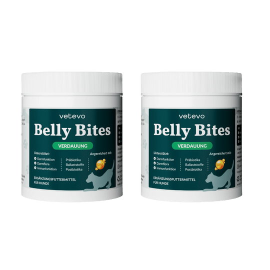 Belly Bites 2.0