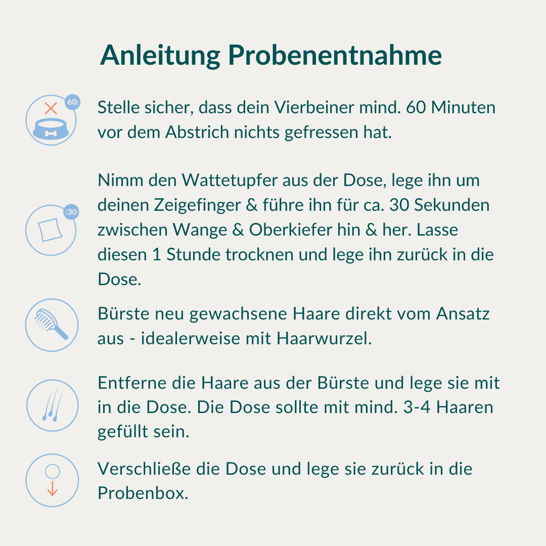 Allergietest - Konservierungsstoffe Hund