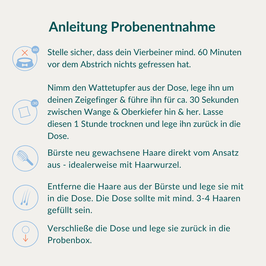 Allergietest - Gräser, Milben & Co. Hund