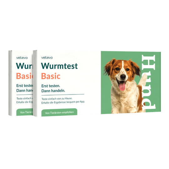 Wurmtest Basic Hund