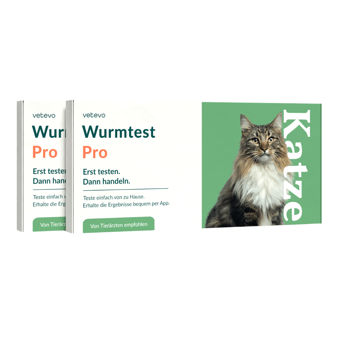 Wurmtest Pro Katze