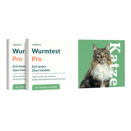 Wurmtest Pro Katze