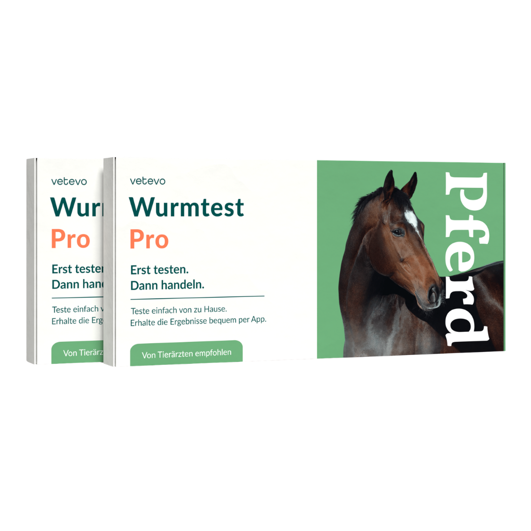 Wurmtest Pro Pferd
