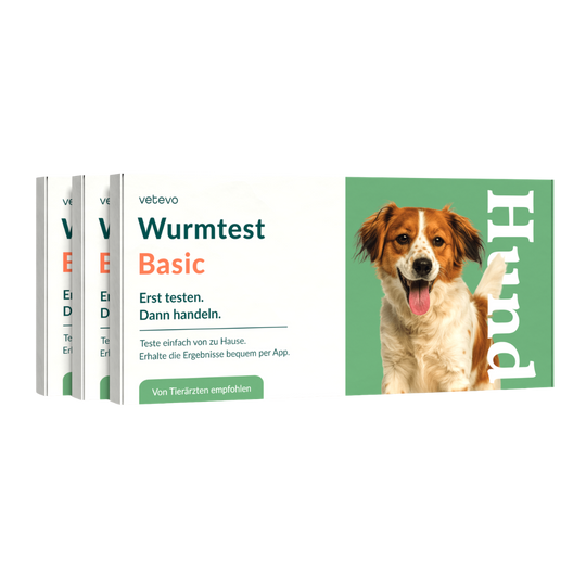 Wurmtest Basic Hund
