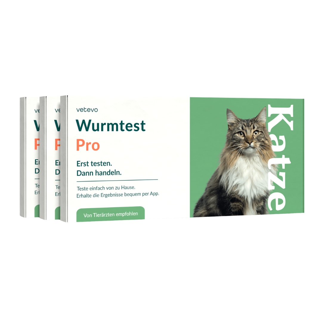 Wurmtest Pro Katze