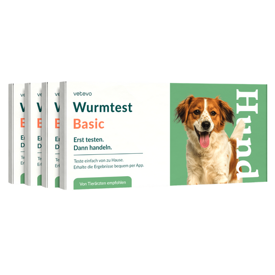 Wurmtest Basic Hund Sparpaket