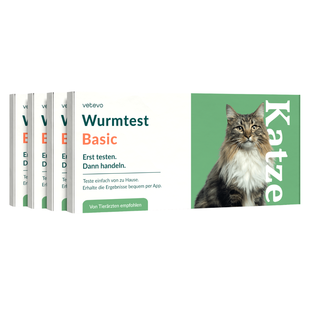 Wurmtest Basic Katze