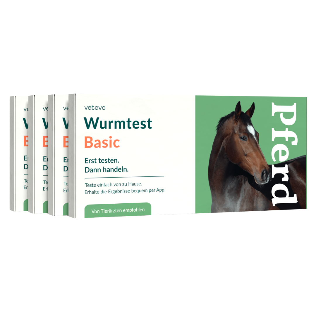 Wurmtest Basic Pferd Sparpaket