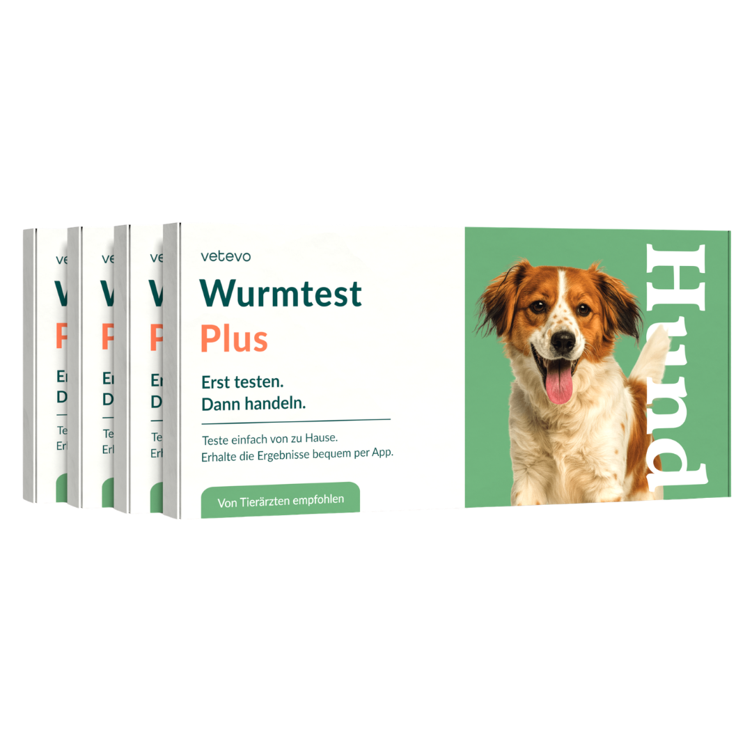 Wurmtest Plus Hund Sparpaket