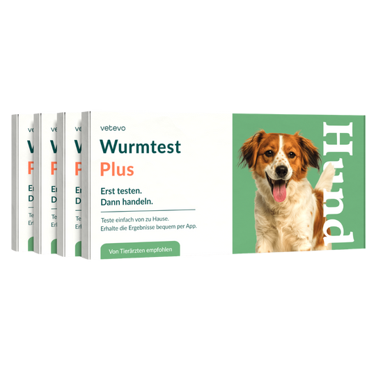 Wurmtest Plus Hund Sparpaket