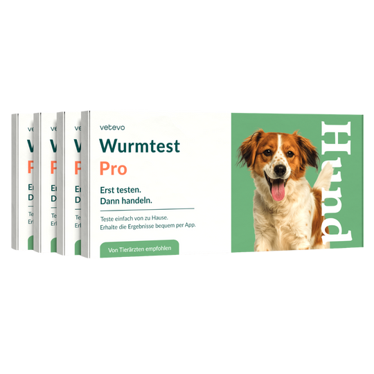 Wurmtest Pro Hund Sparpaket