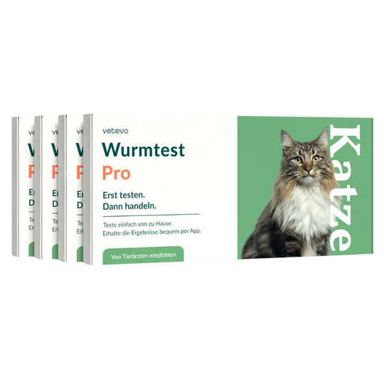 Wurmtest Pro Katze