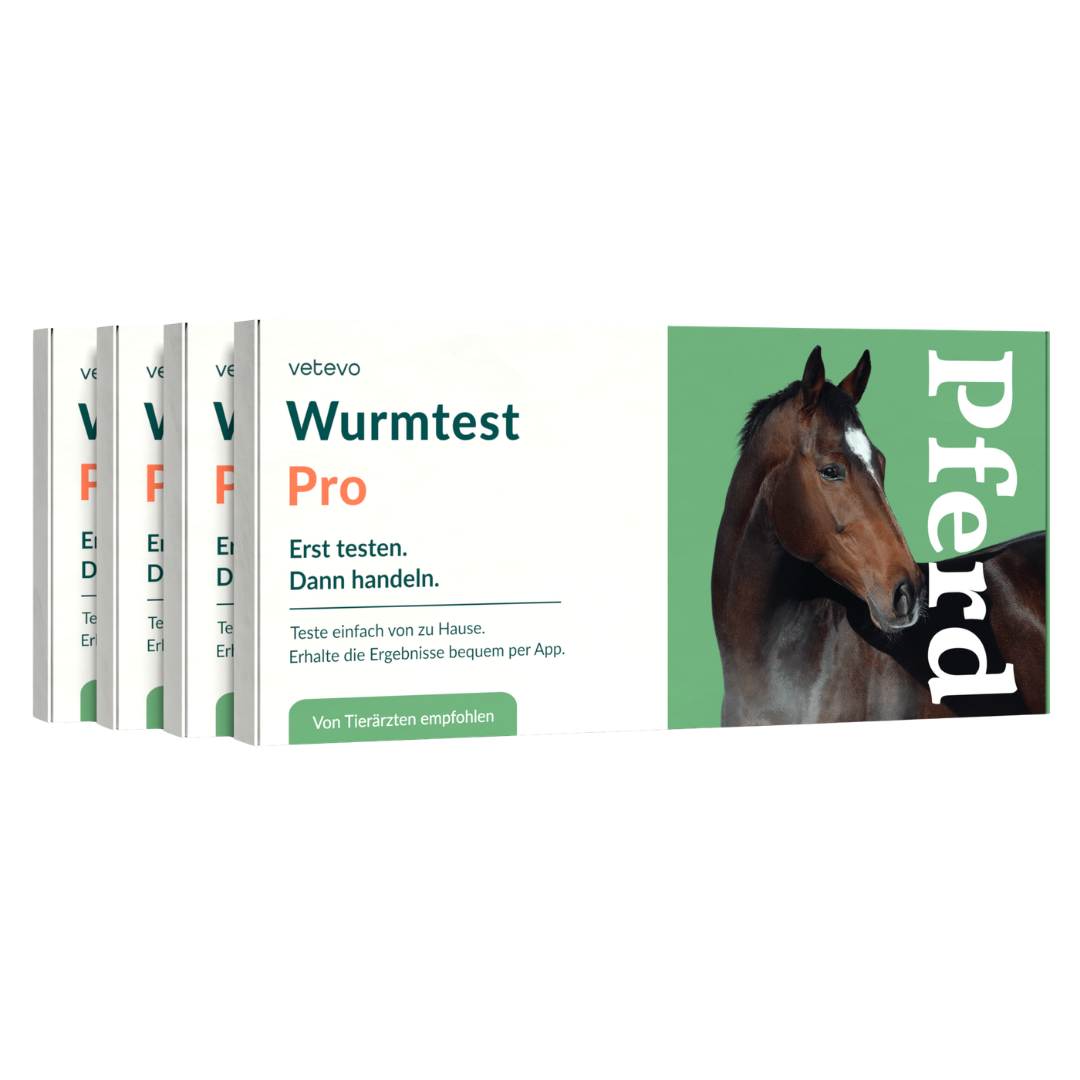 Wurmtest Pro Pferd