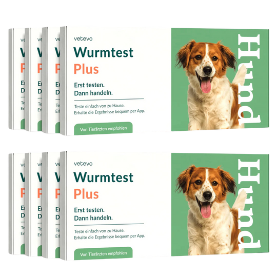 Wurmtest Plus Hund Sparpaket