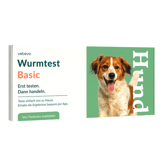 Wurmtest Basic Hund