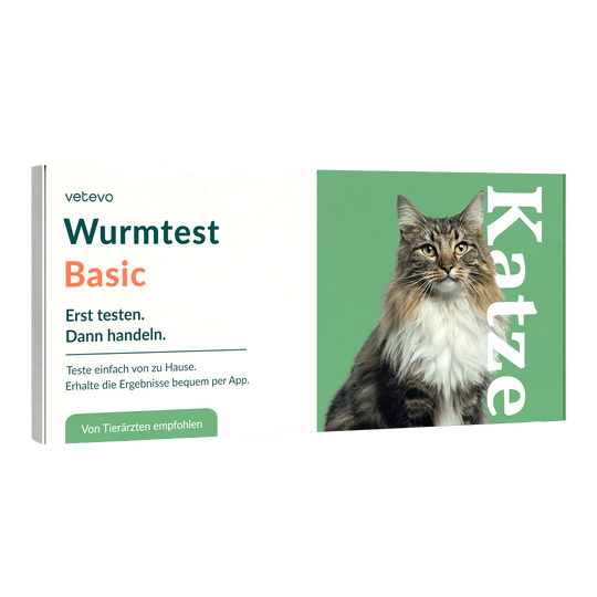 Wurmtest Basic Katze