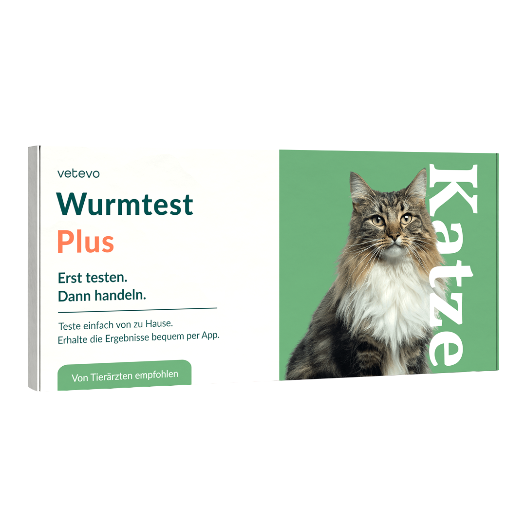 Wurmtest Plus Katze