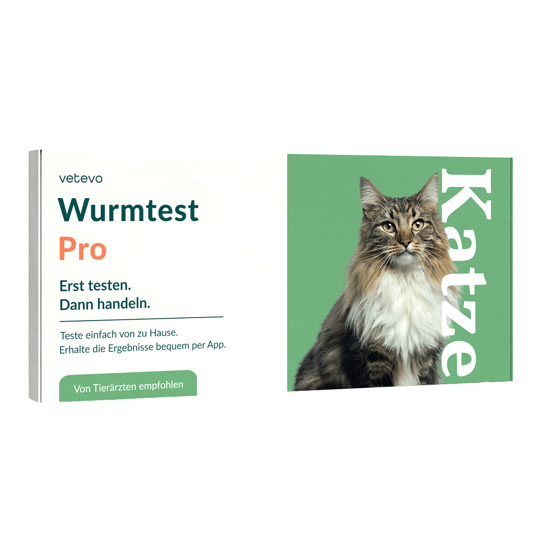 Wurmtest Pro Katze