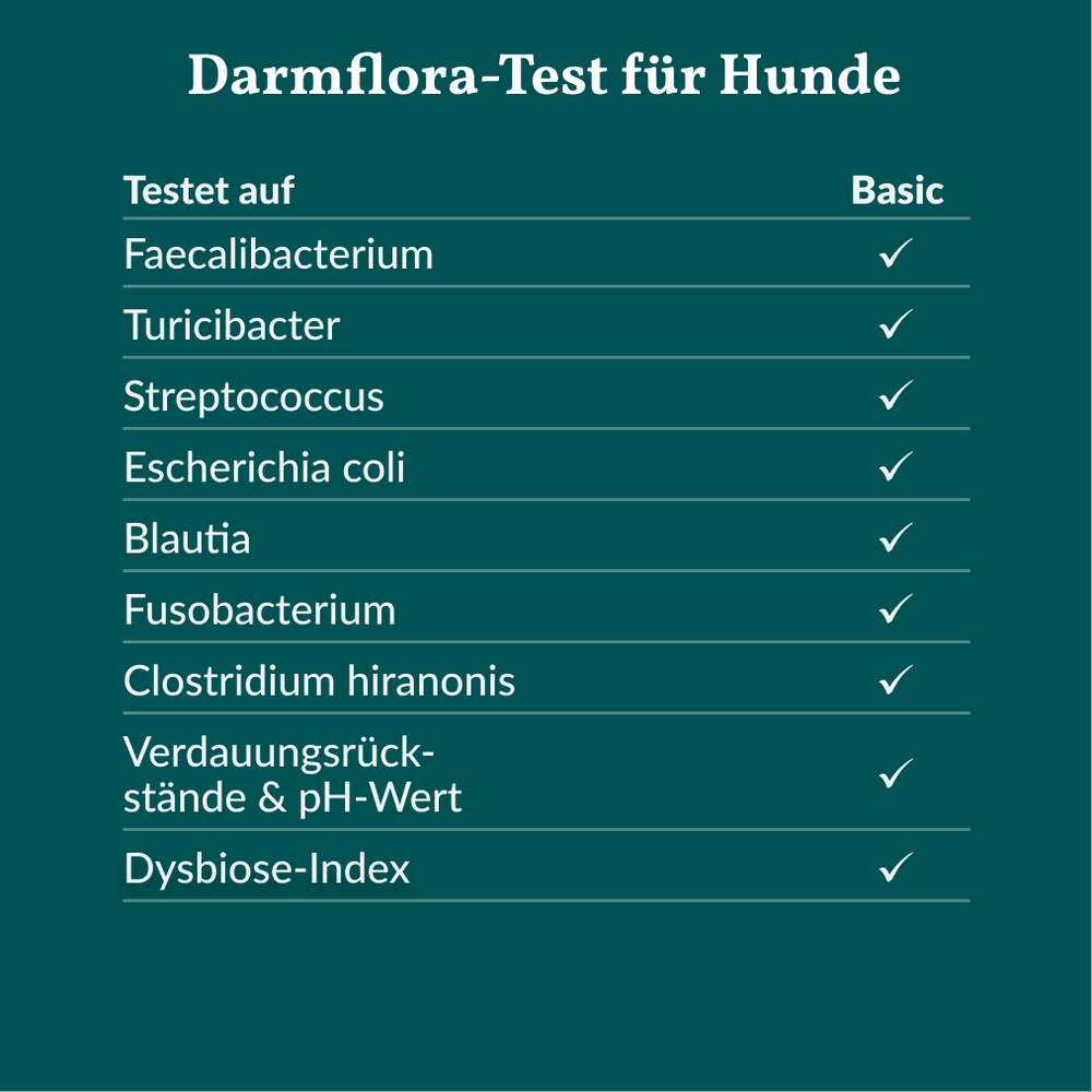 Darmflora Test Hund