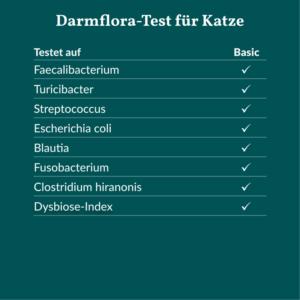Darmflora Test Katze