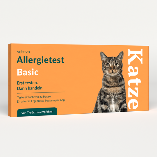 Allergietest Basic Katze