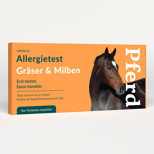 Allergietest - Gräser, Milben & Co. Pferd