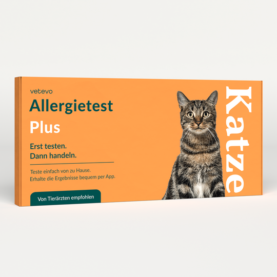 Allergietest Plus Katze
