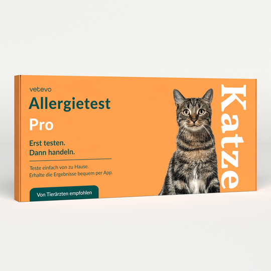 Allergietest Pro Katze