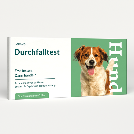 Durchfalltest Hund