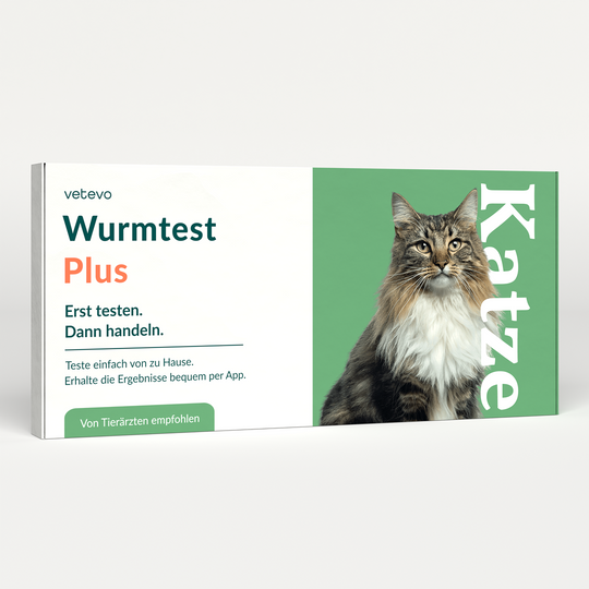 Wurmtest Plus Katze