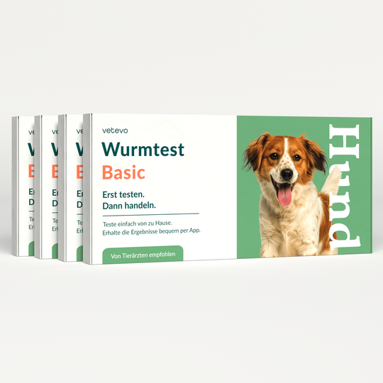Wurmtest Basic Hund Sparpaket