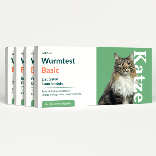 Wurmtest Basic Katze Sparpaket