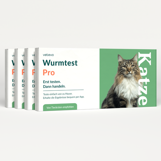 Wurmtest Pro Katze Sparpaket