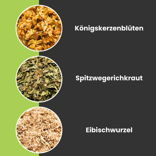 EquiLung Herbal Atemwegs-Kräuter für Pferde – bei trockenem oder allergischem Husten
