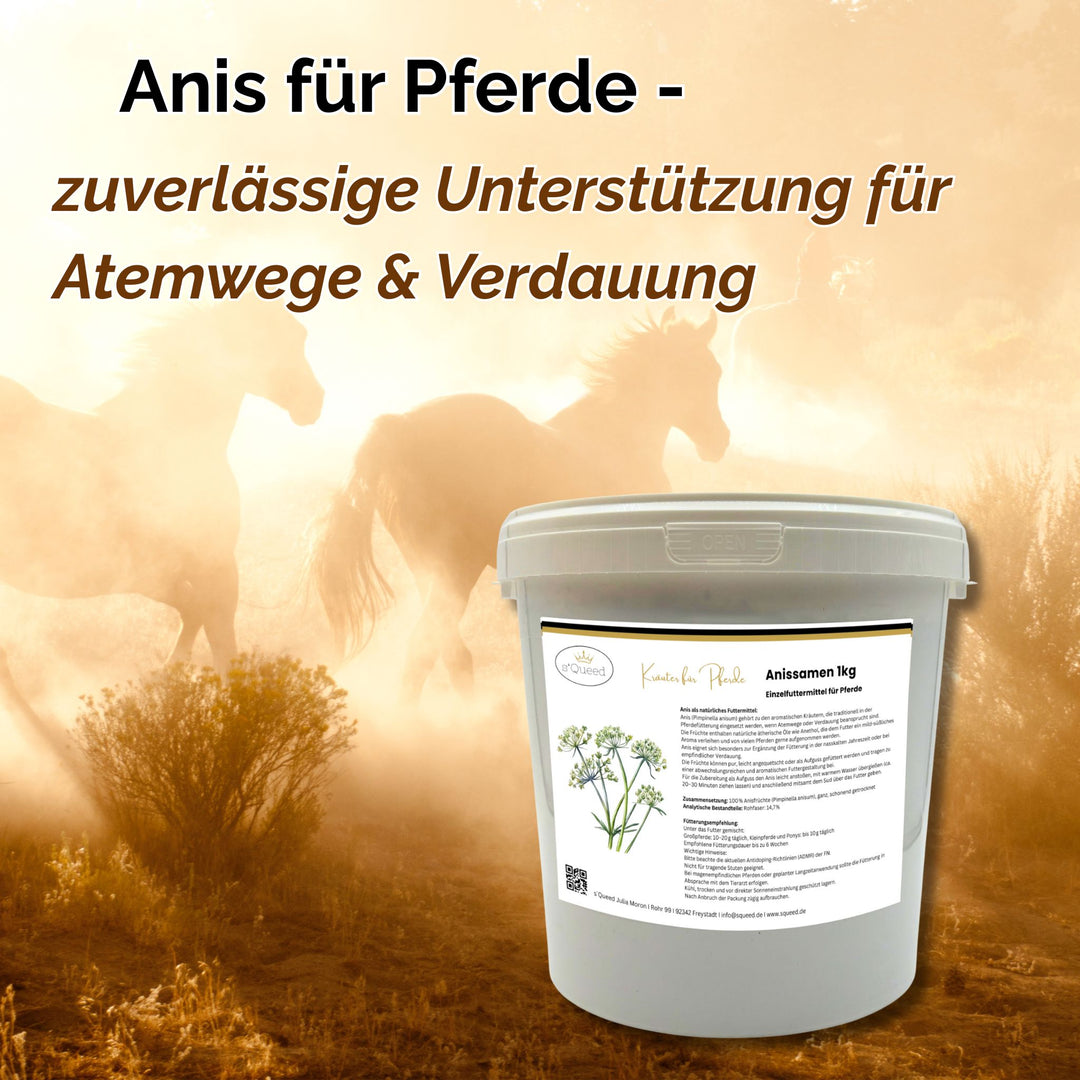 Anis Pferd 1kg