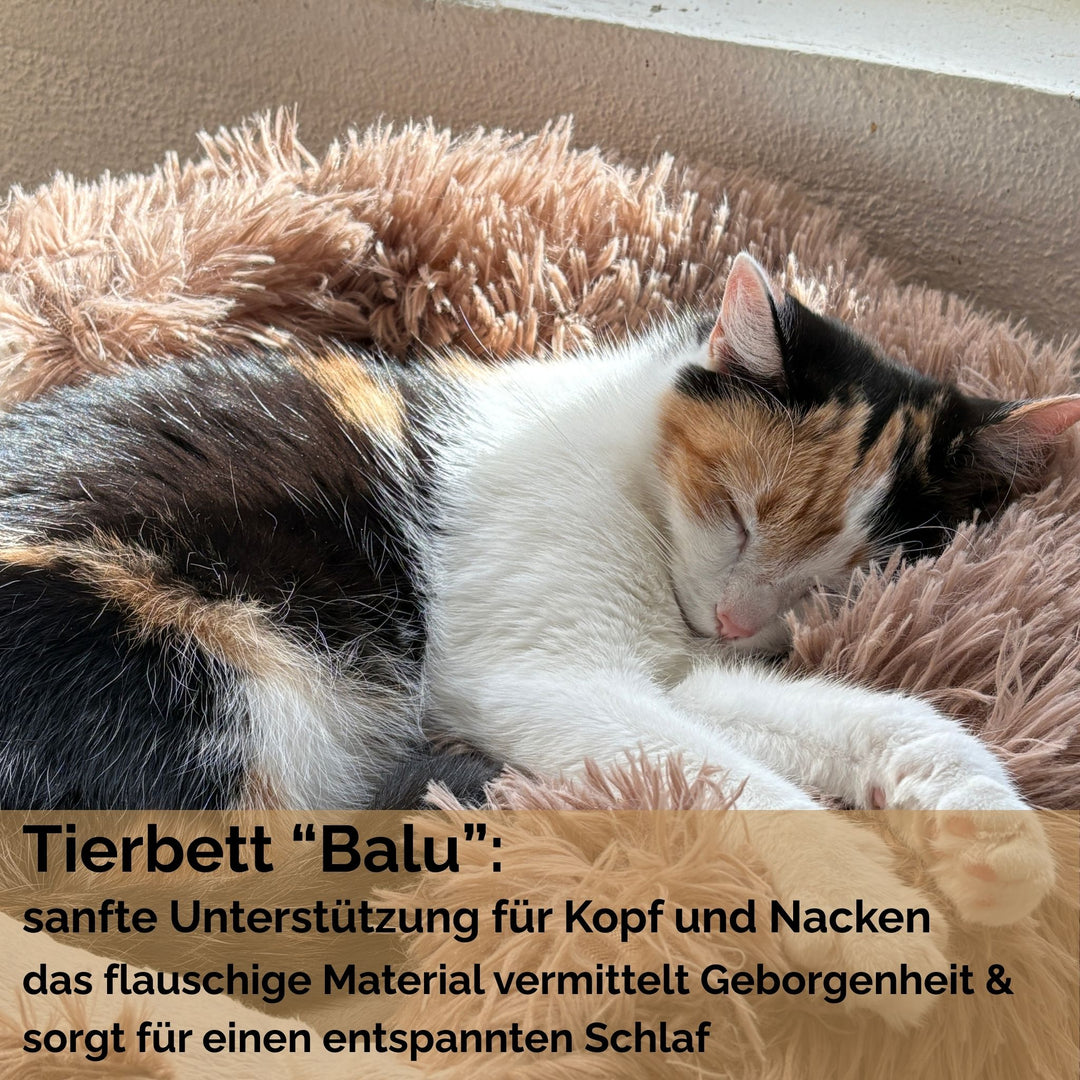 Katzenbett "Balu" kuschelig weiche & waschbare Auflage – mit hohem Rand für Bett & Sofa