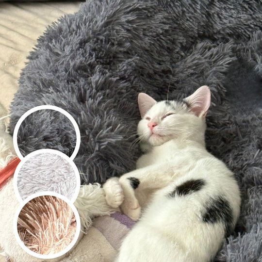 Katzenbett "Balu" kuschelig weiche & waschbare Auflage – mit hohem Rand für Bett & Sofa