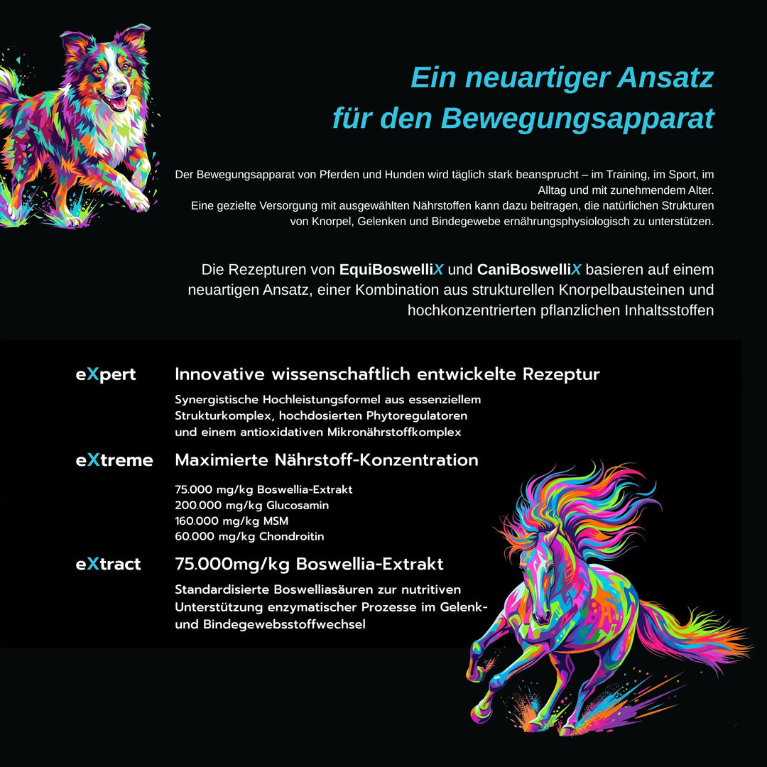 CaniBoswelliX 250g