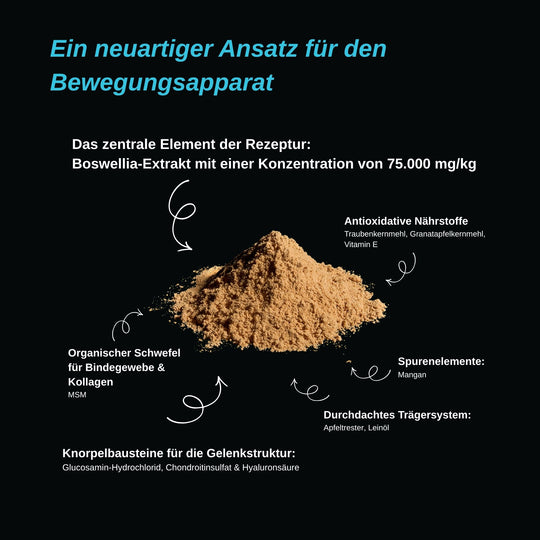 EquiBoswelliX 1kg