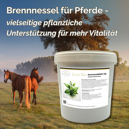 Brennnessel Pferd 1kg